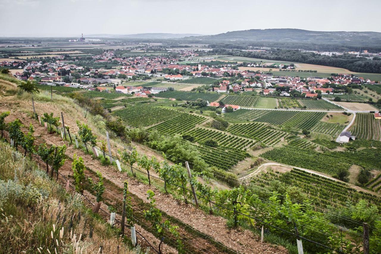 Schmankerl Und Gast Bed & Breakfast Rohrendorf bei Krems Luaran gambar